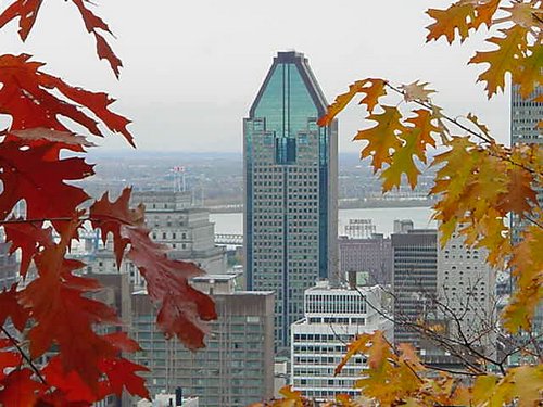 can41-montreal.jpg